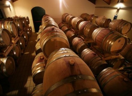 Cantina Marco e Carlo Carini - Canneto (PG)