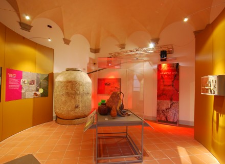Mostra "Acqua" Assisi