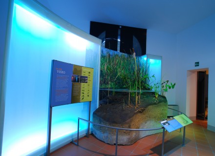Mostra "Acqua" Assisi