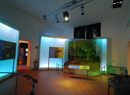 Mostra "Acqua" Assisi