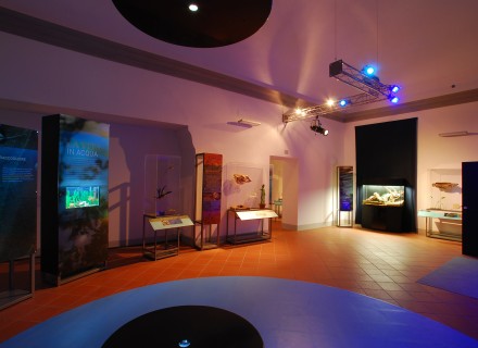Mostra "Acqua" Assisi