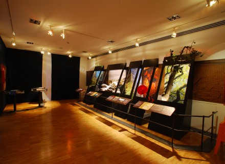 Mostra "Clima" Perugia