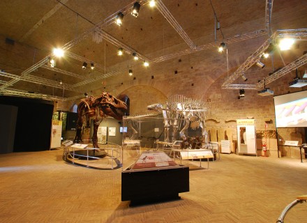 Mostra "Dinosauri" - Gubbio