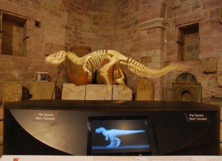 Mostra "Dinosauri" - Gubbio