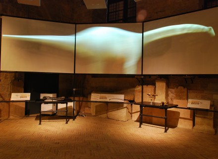 Mostra "Dinosauri" - Gubbio