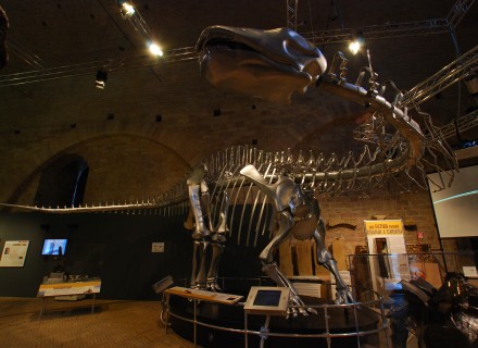 Mostra "Dinosauri" - Gubbio