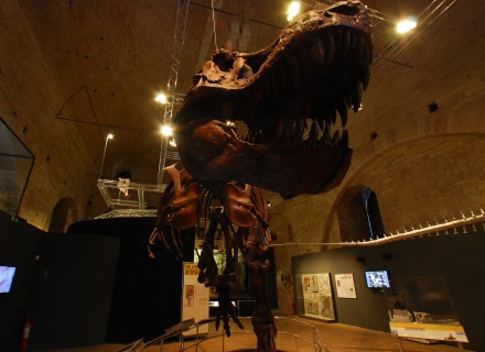 Mostra "Dinosauri" - Gubbio