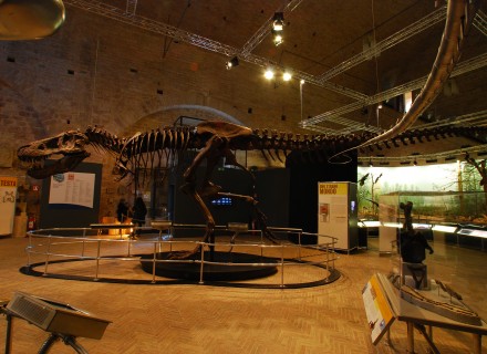 Mostra "Dinosauri" - Gubbio