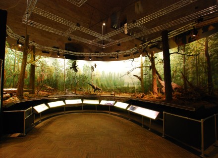 Mostra "Dinosauri" - Gubbio