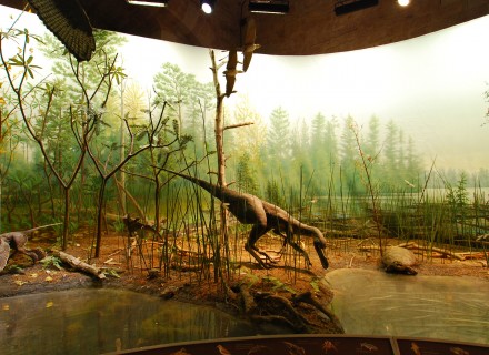 Mostra "Dinosauri" - Gubbio