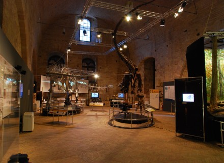 Mostra "Dinosauri" - Gubbio