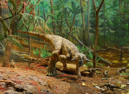 Mostra "Dinosauri" - Gubbio