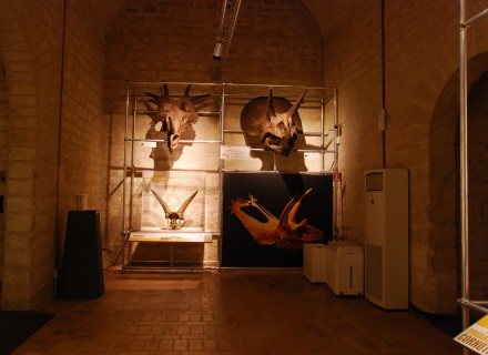 Mostra "Dinosauri" - Gubbio