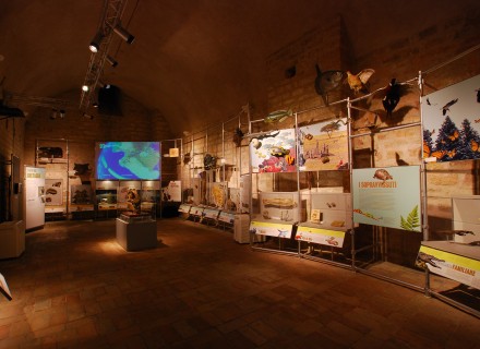 Mostra "Dinosauri" - Gubbio