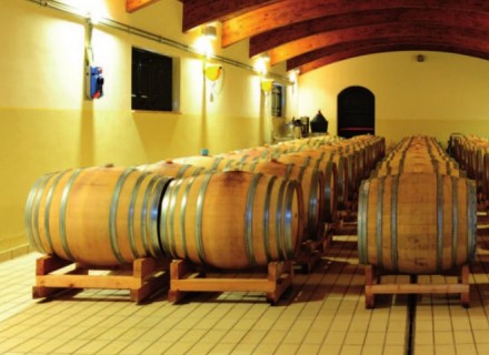 Cantina Marco e Carlo Carini - Canneto (PG)